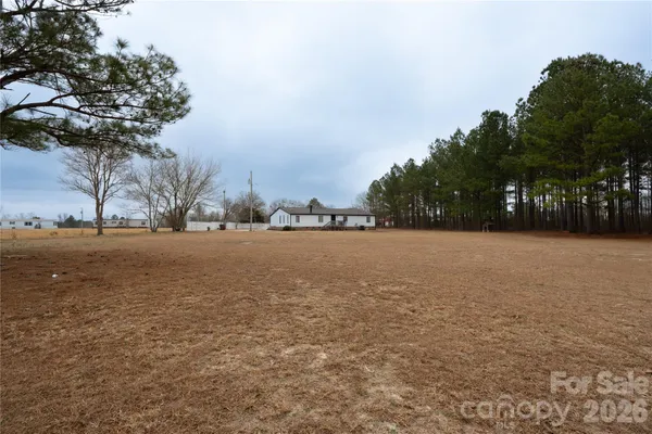 a view of open space with lots of trees