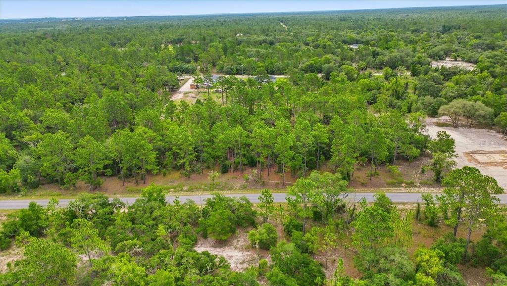 0 Southwest Sands Point Avenue Dunnellon, FL 34431 - Photo 4 of 6