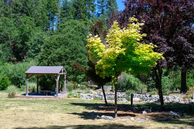 a view of yard and patio