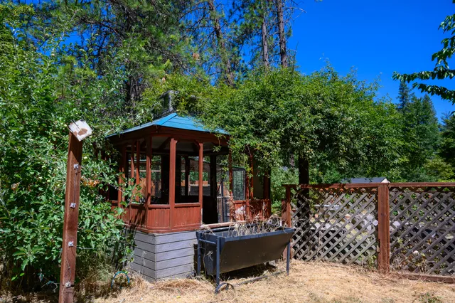 a view of a tree in the middle of a yard