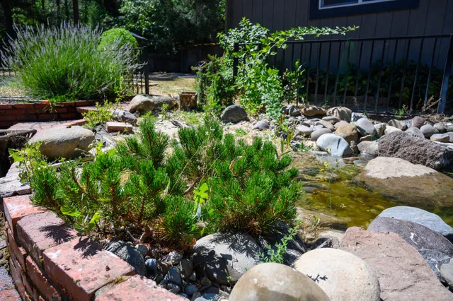 a view of outdoor space and yard