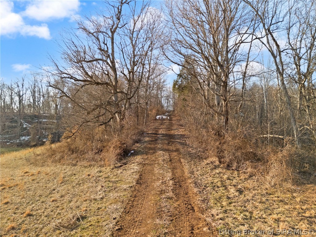 32.72-acres Oriole Road St. Croix, IN 47514 - Photo 52 of 56