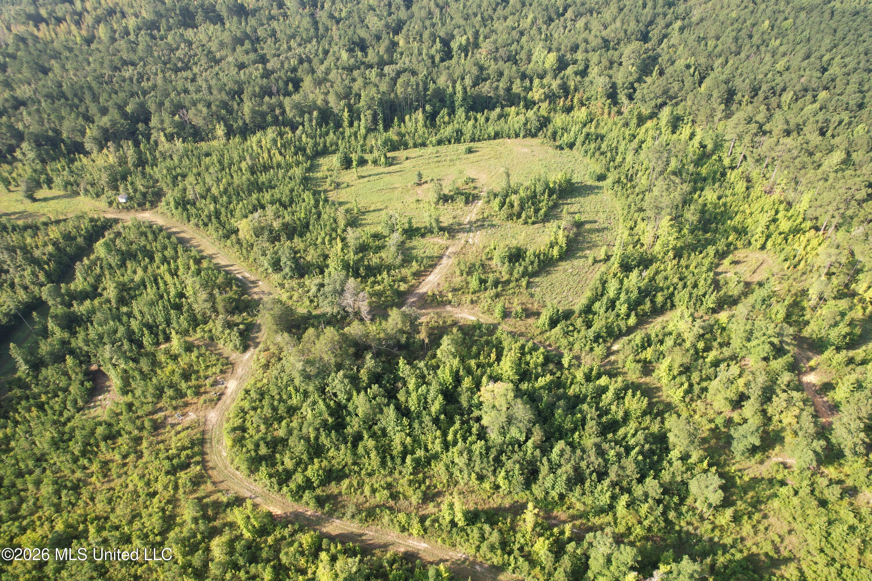 4102 Co Road Sallis, MS 39160 - Photo 19 of 35 dji_fly_20260804_083620_204_178585092693