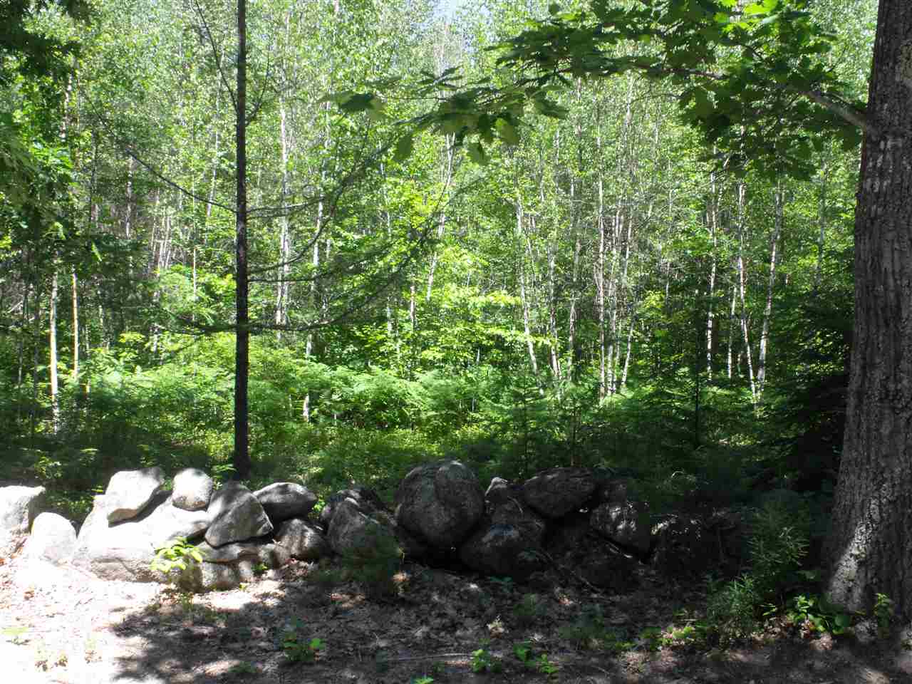 Sodom Road, Unit 22 Center Tuftonboro, NH 03816 - Photo 1 of 3