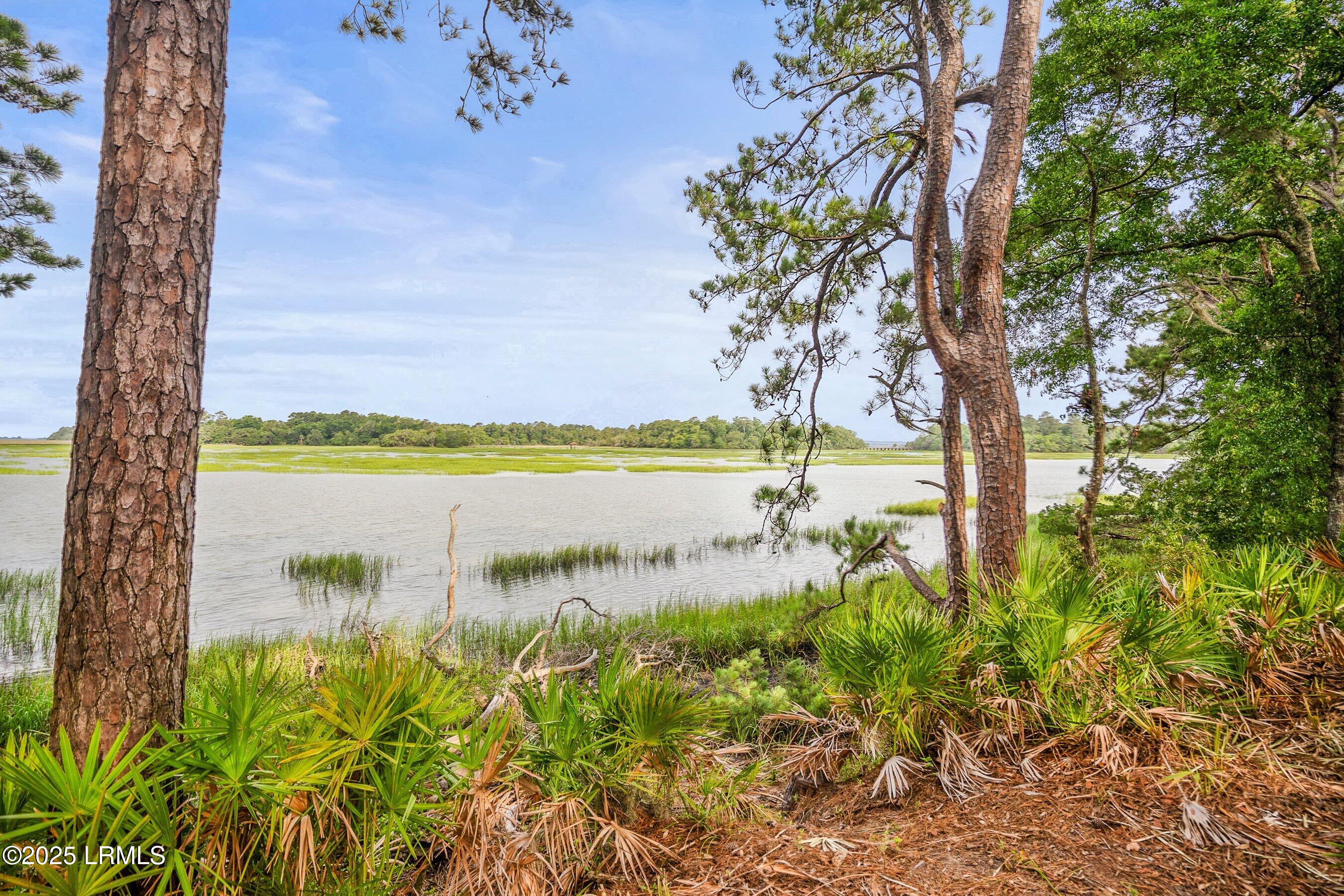 25 Ridge Road Beaufort, SC 29907 - Photo 27 of 38 DSC08123-60.jpg-SMALL