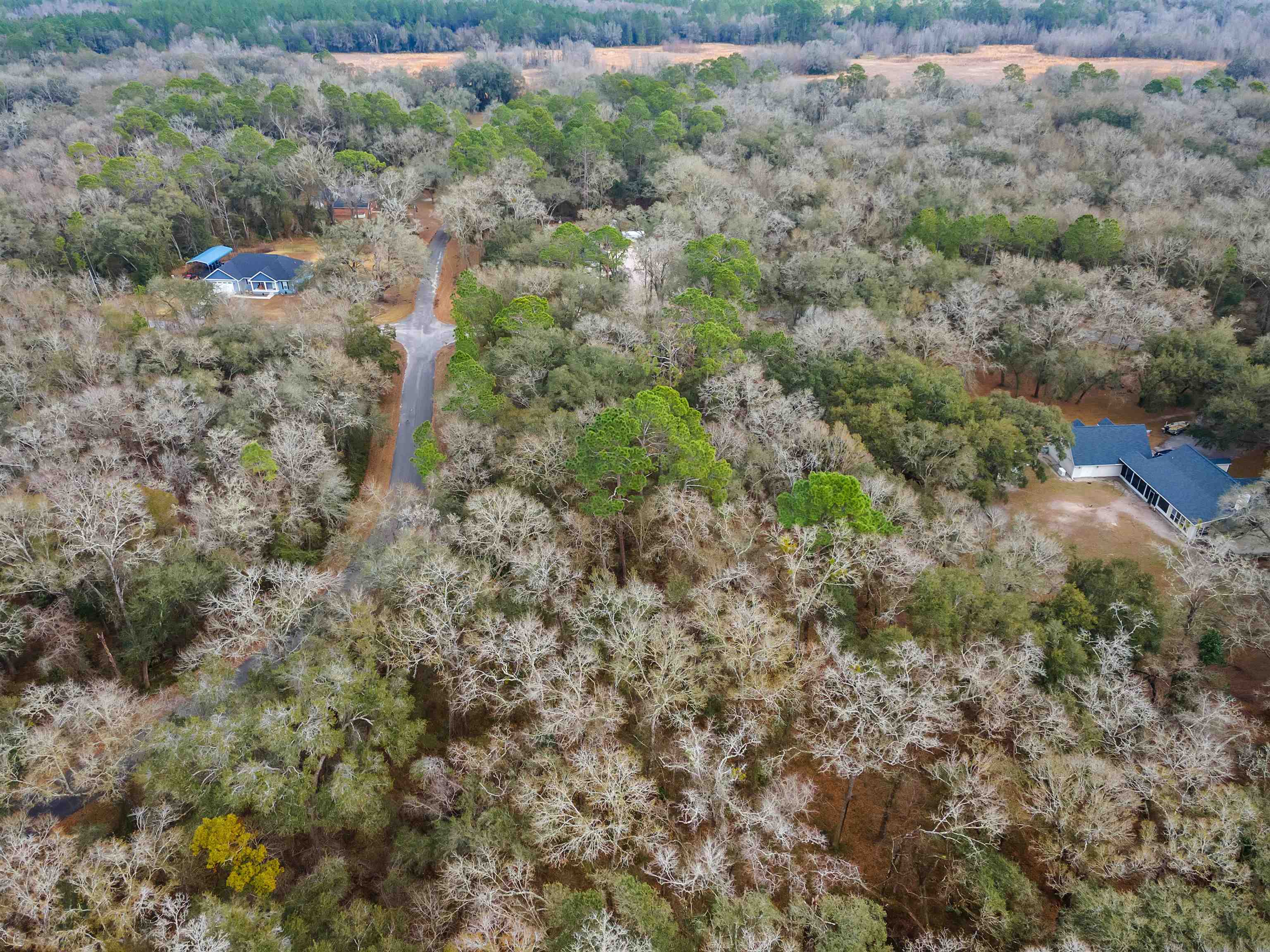 Canopy Lane Perry, FL 32347 - Photo 3 of 5
