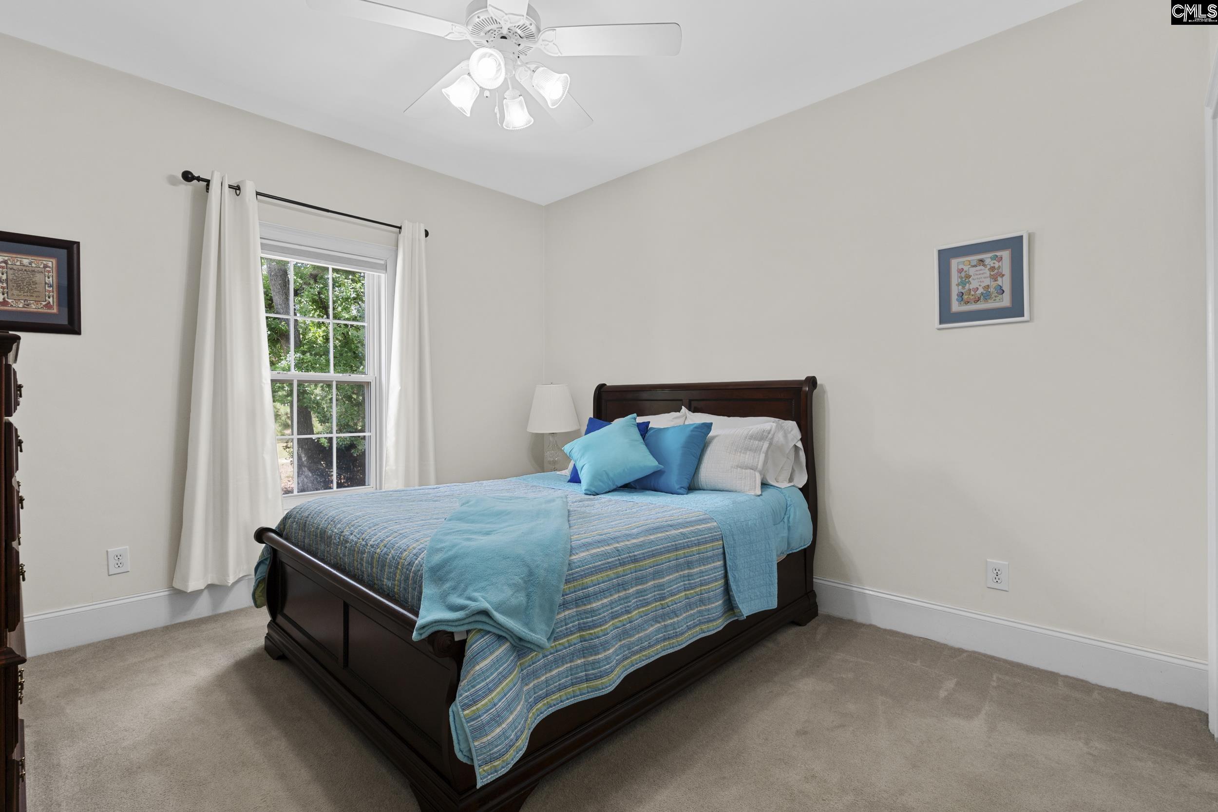 413 Oxenbridge Way Chapin, SC 29036 - Photo 28 of 51