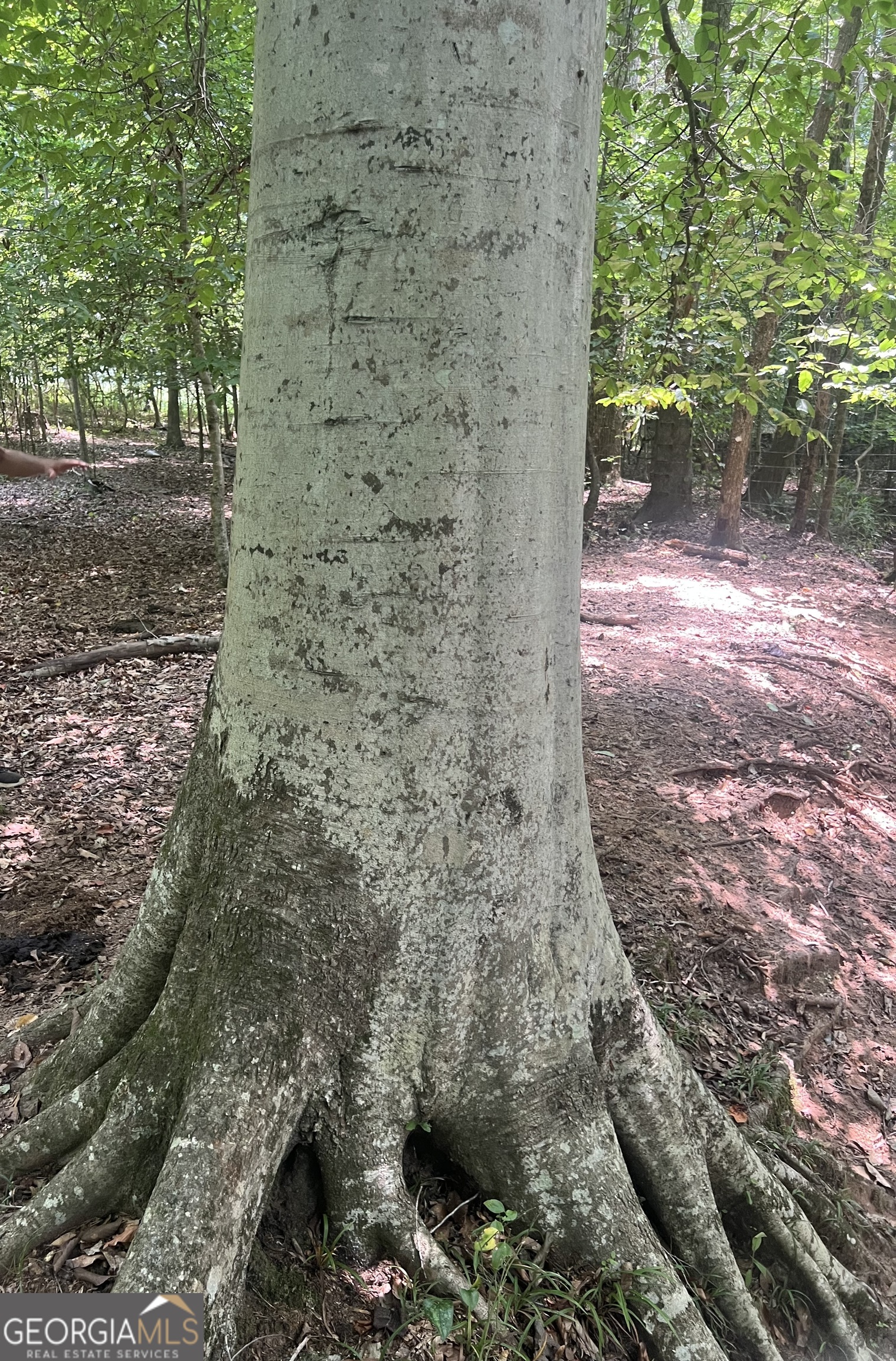 0 Hines Road Hogansville, GA 30230 - Photo 11 of 12