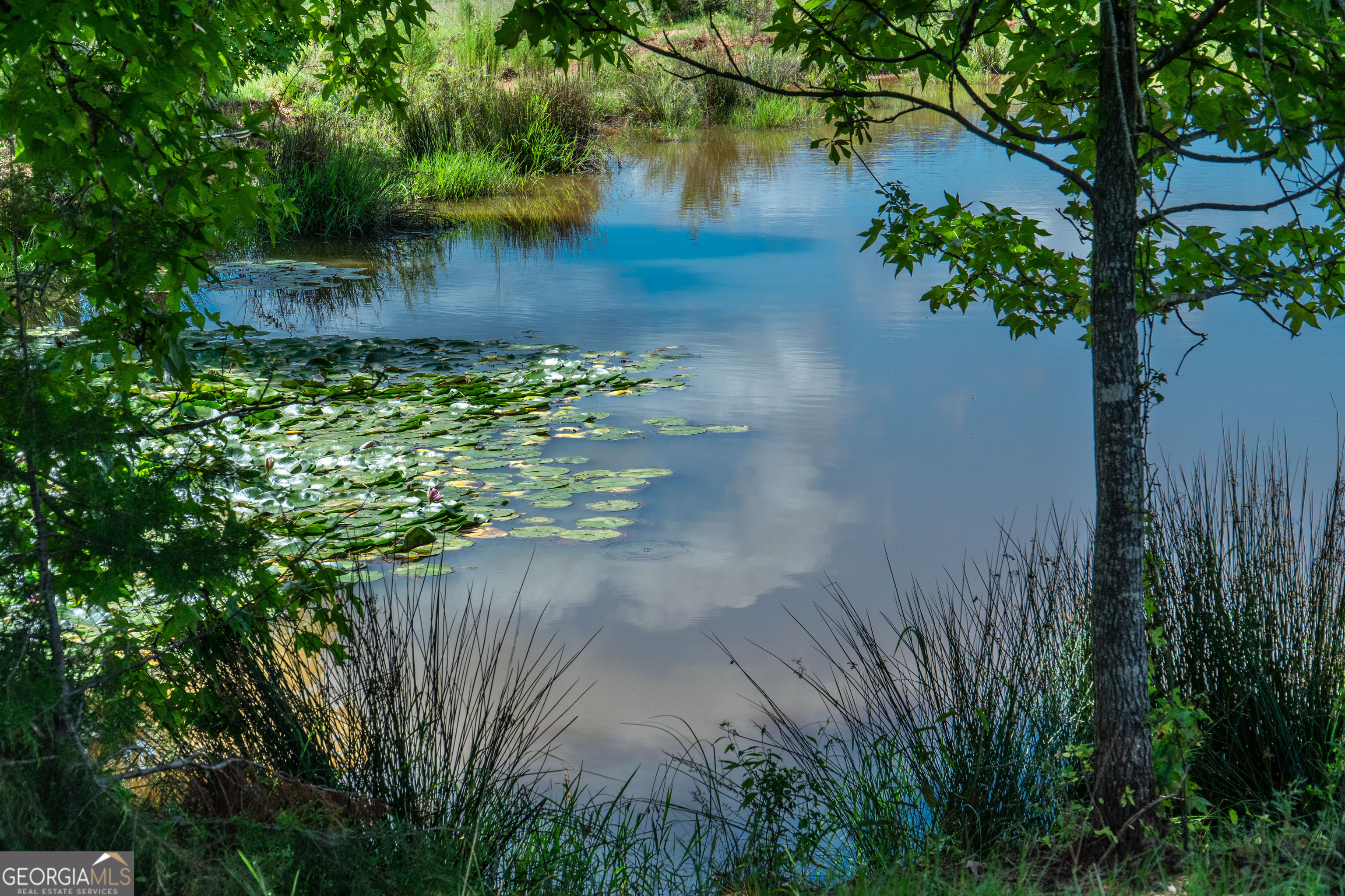 0 Hines Road Hogansville, GA 30230 - Photo 2 of 12