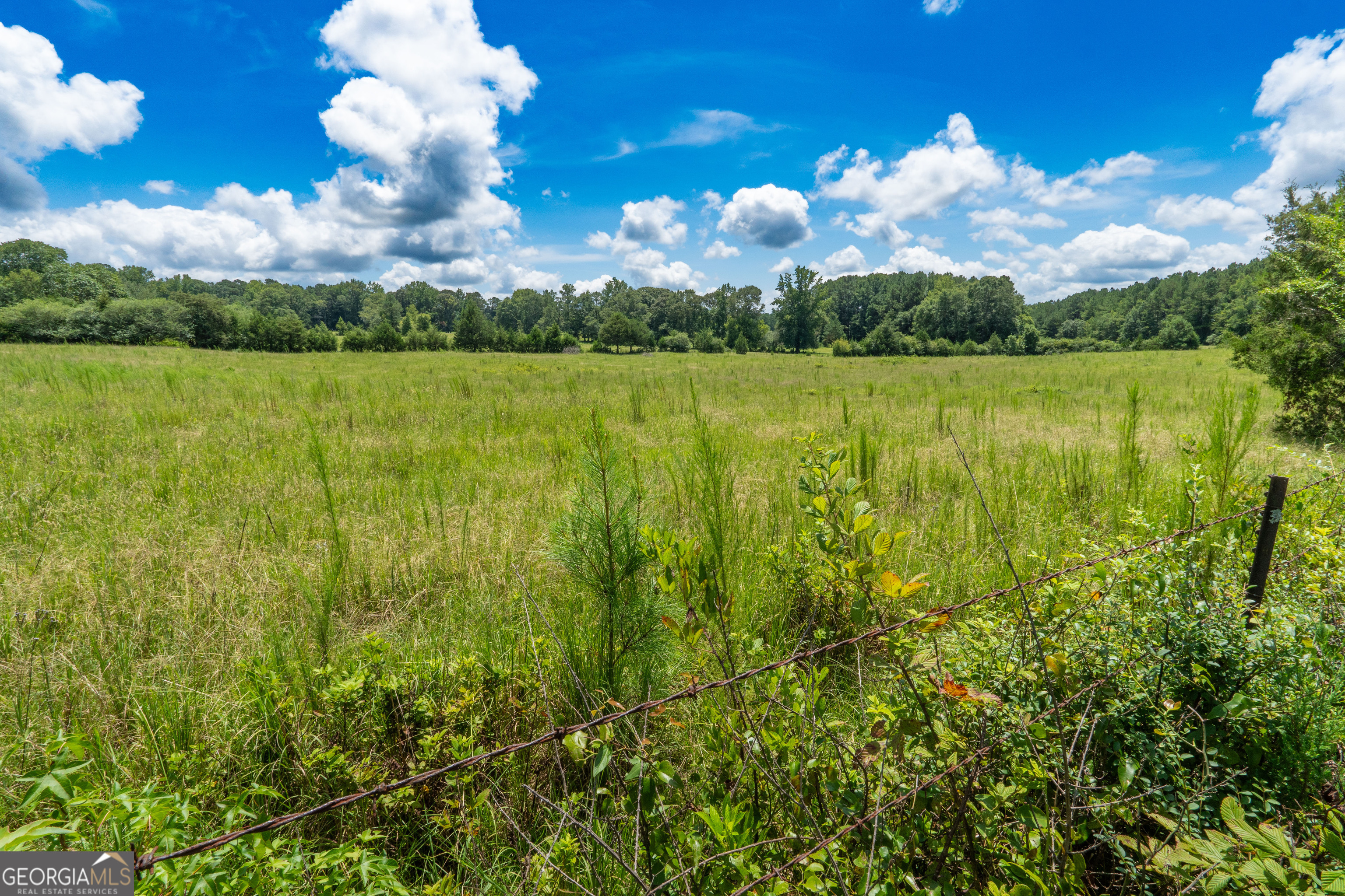 0 Hines Road Hogansville, GA 30230 - Photo 7 of 12