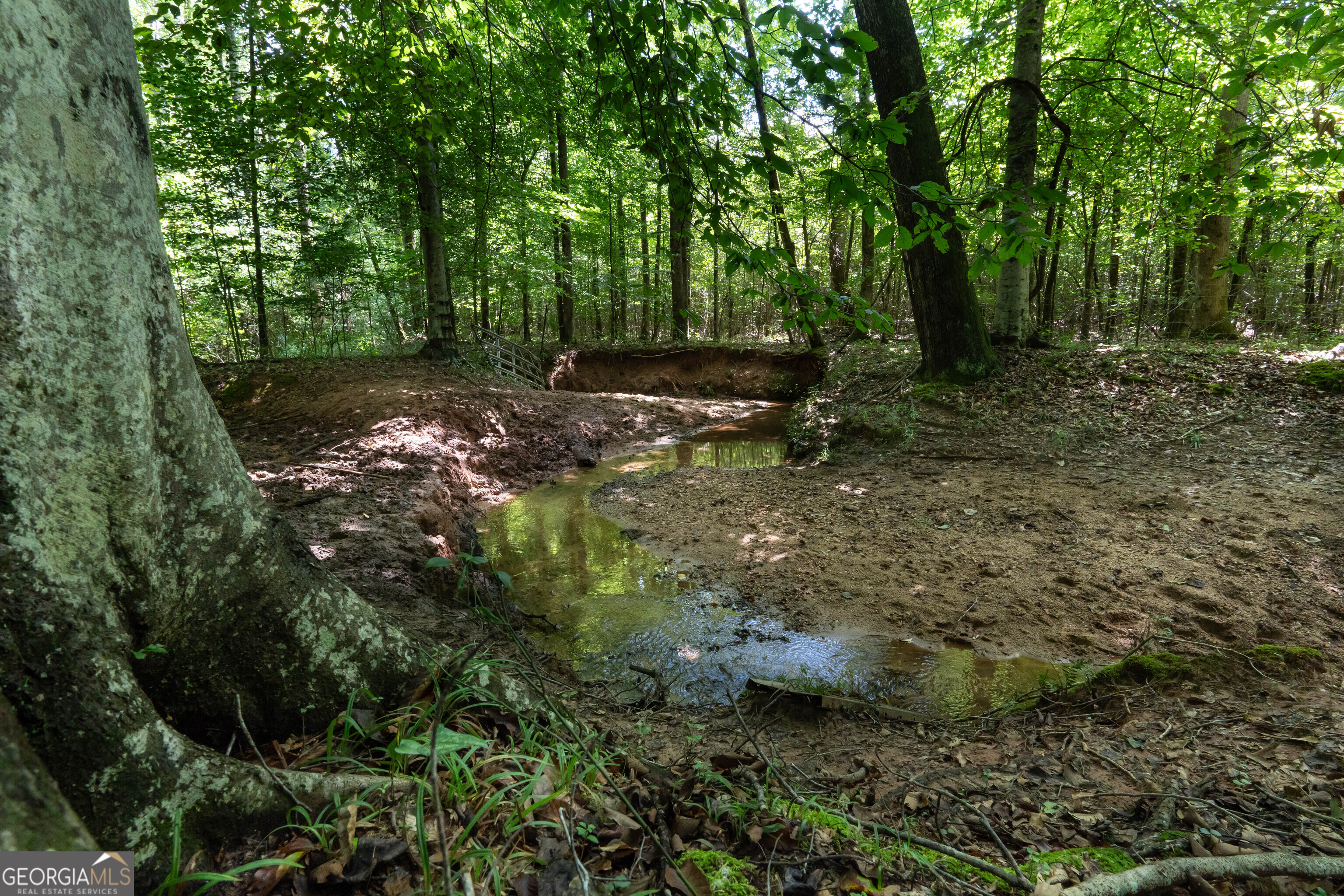 0 Hines Road Hogansville, GA 30230 - Photo 8 of 12