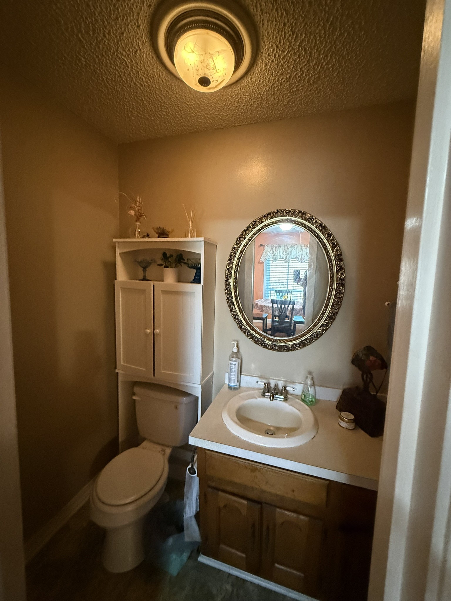 353 Golf Club Road McMinnville, TN 37110 - Photo 22 of 28 a bathroom with a sink mirror and toilet