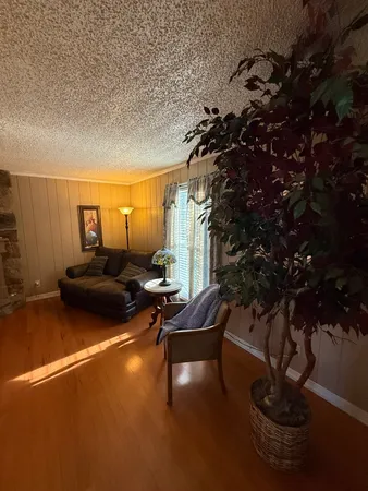a living room with furniture a rug and a potted plant