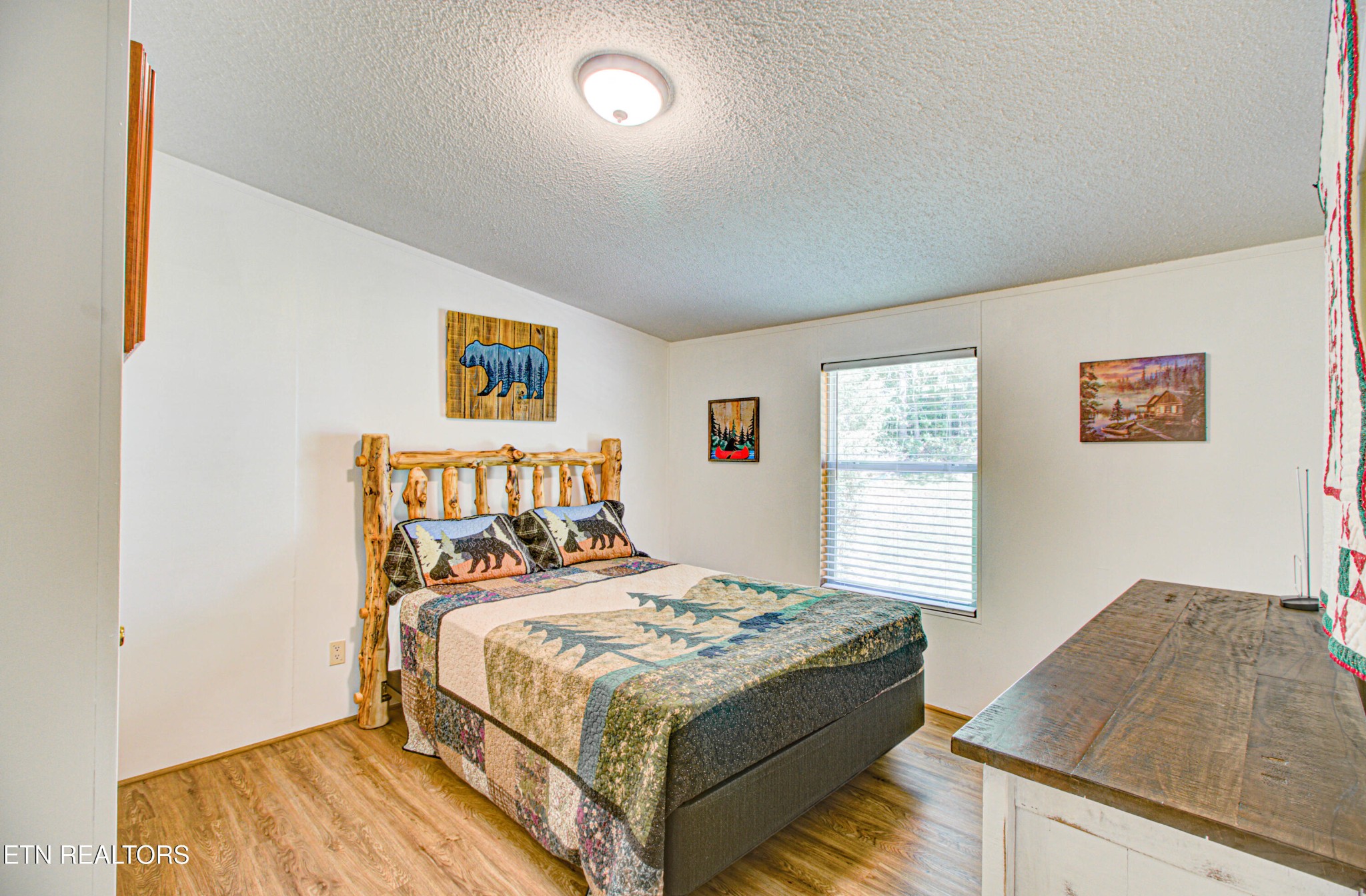 925 Cloyds Church Road Greenback, TN 37742 - Photo 23 of 50 Gallery Image 23
