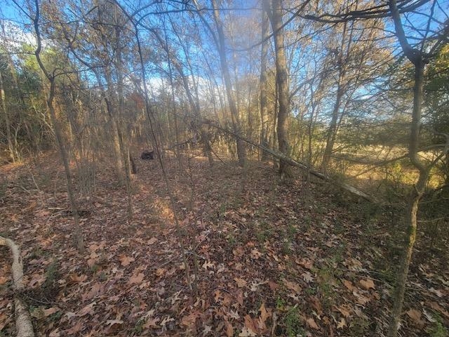 Kay Lane Somerville, TN 38068 - Photo 3 of 19 a view of a yard with large trees