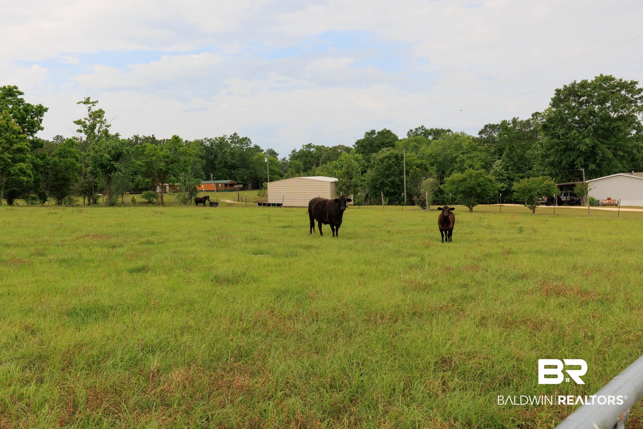 6725 Upper Creek Road Flomaton, AL 36441 - Photo 30 of 61 View of grassy yard with a rural view and an outbuilding
