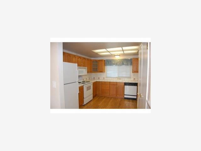 1355 Shell Court Discovery Bay, CA 94505 - Photo 2 of 7