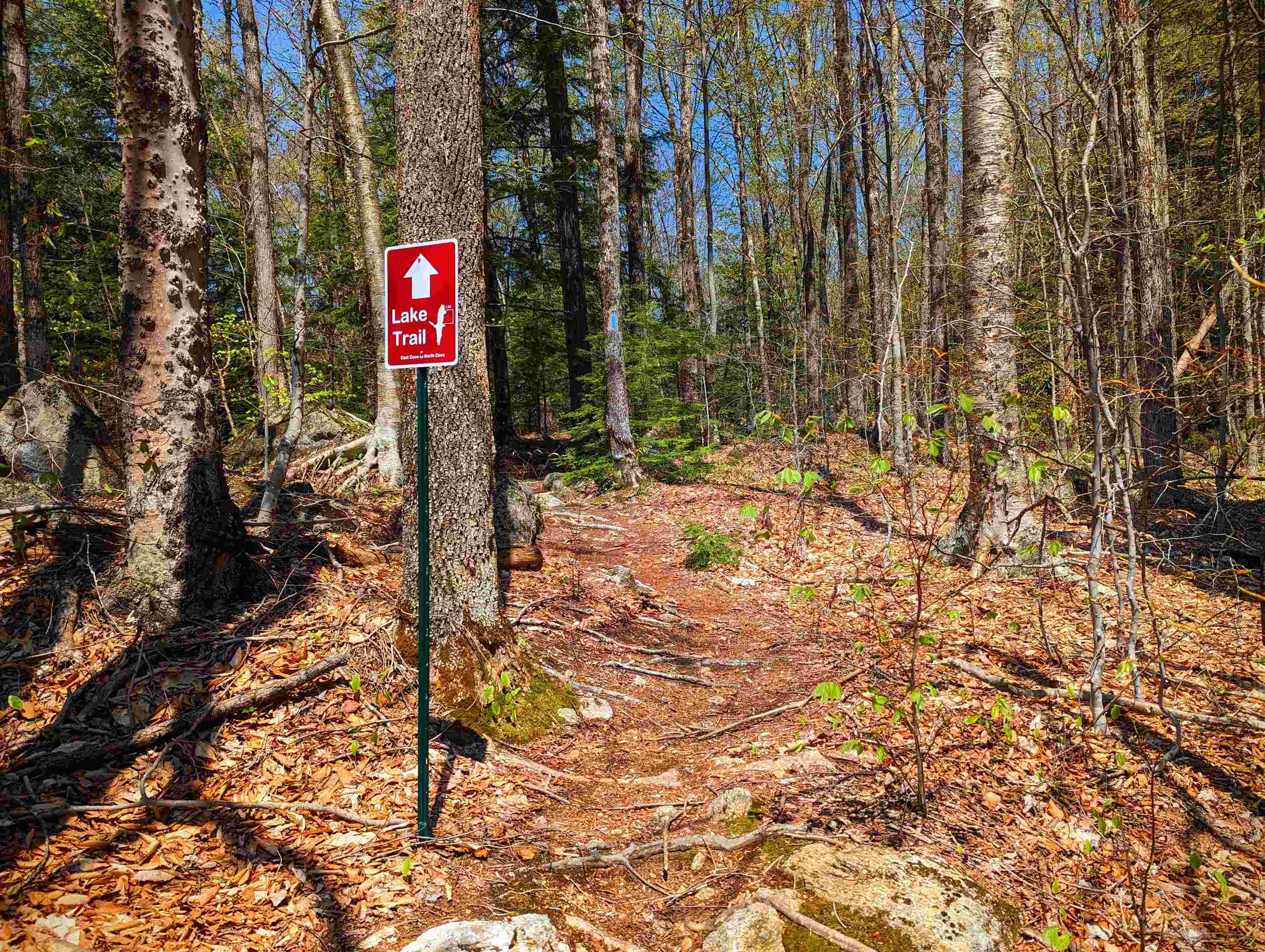 14 Catamount Road Grantham, NH 03753 - Photo 11 of 22