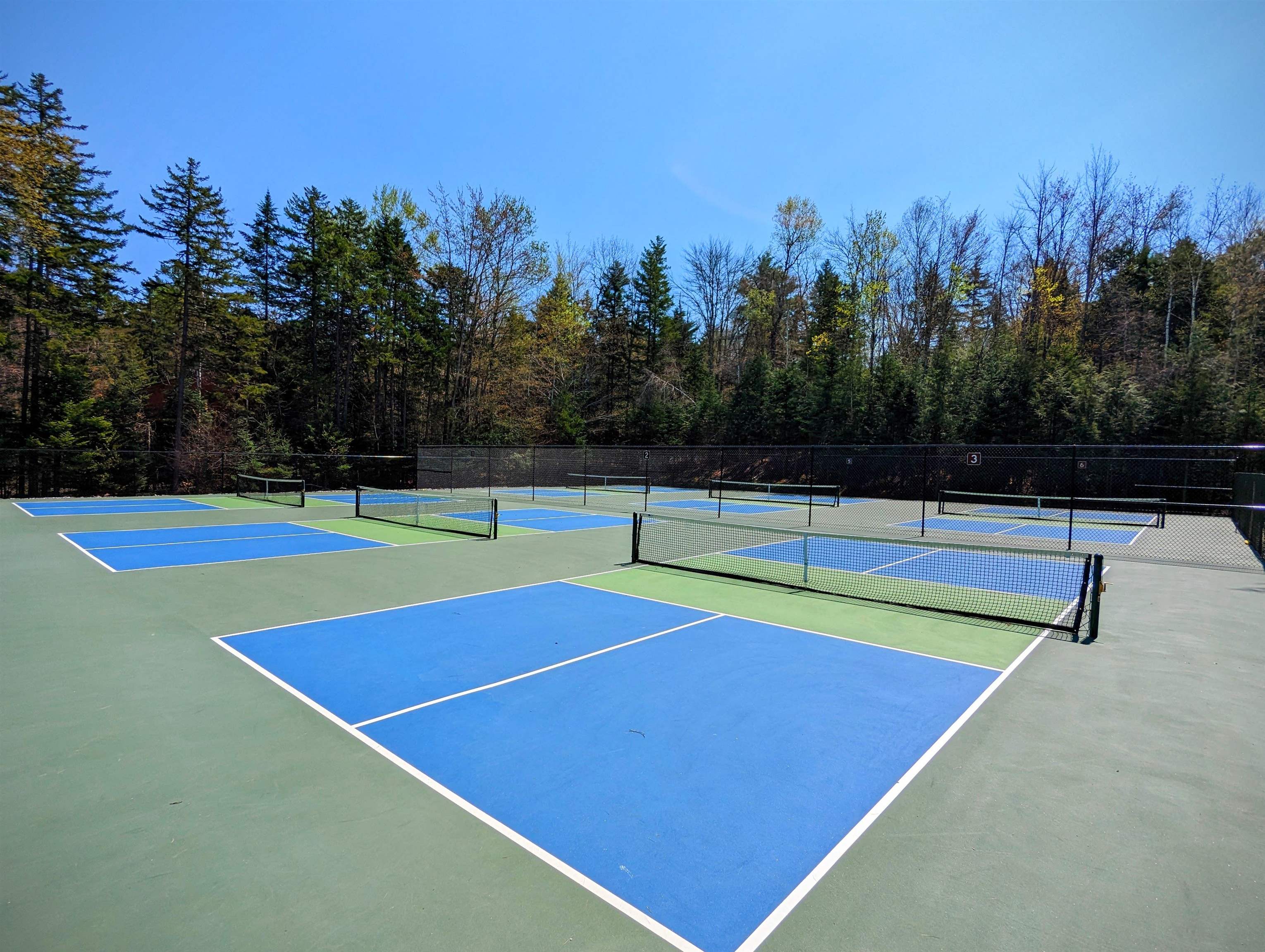 14 Catamount Road Grantham, NH 03753 - Photo 14 of 22