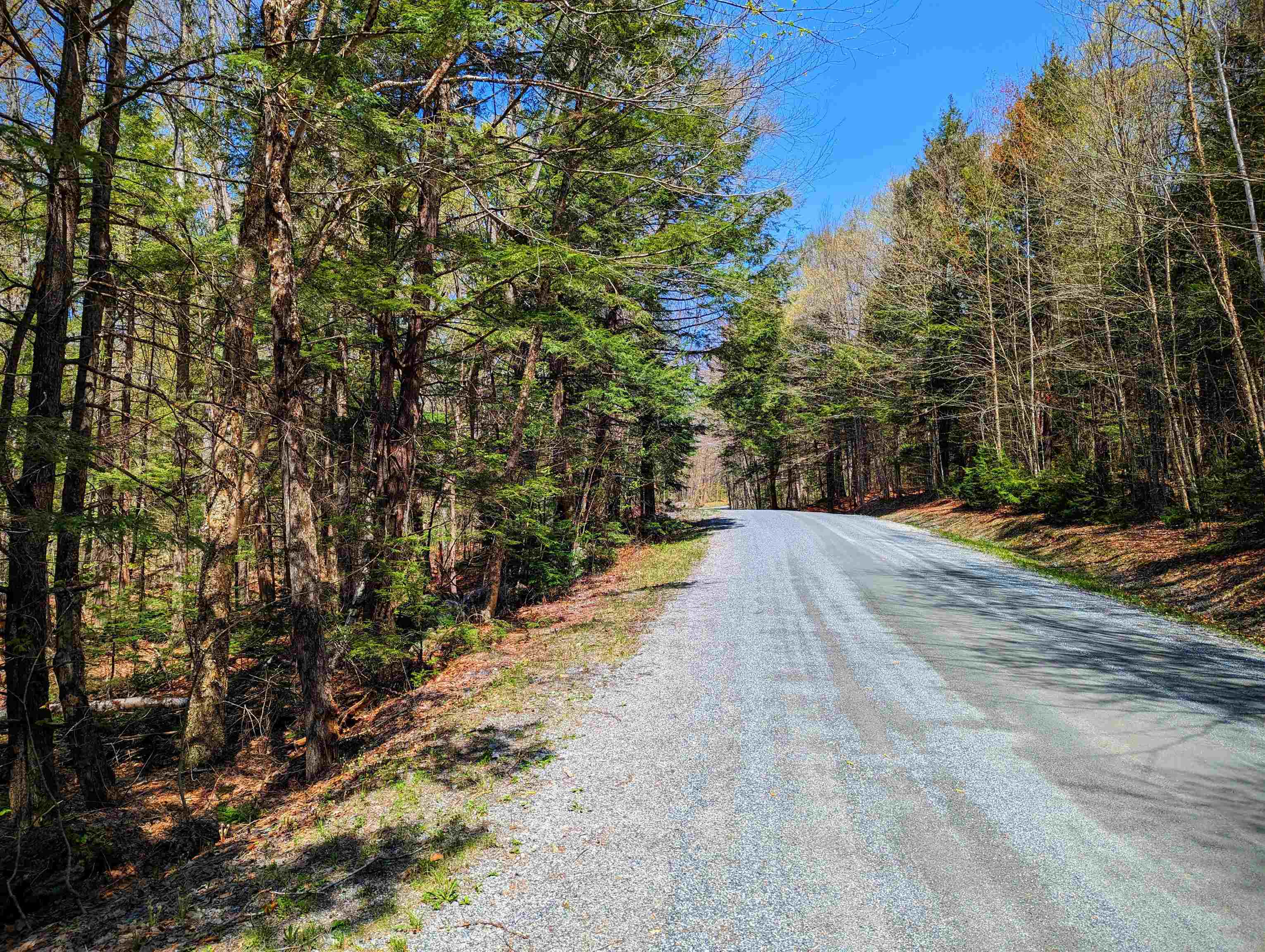 14 Catamount Road Grantham, NH 03753 - Photo 22 of 22