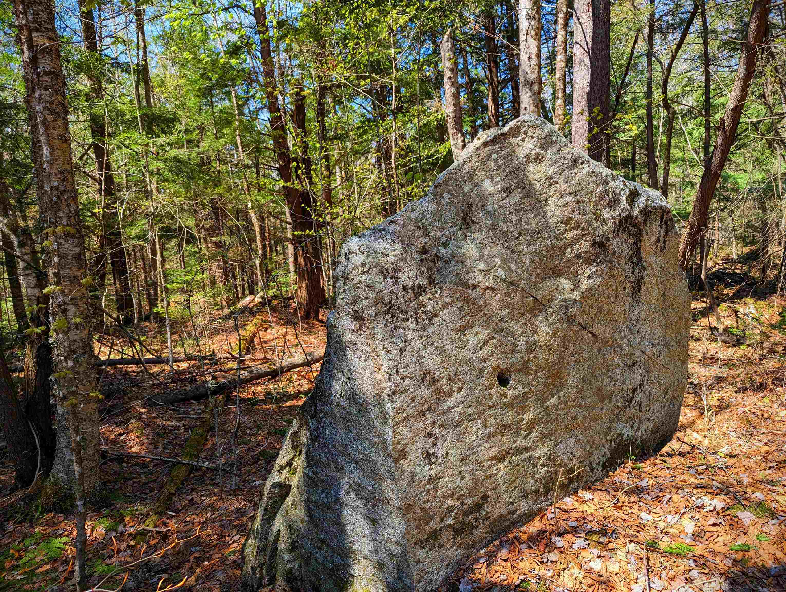 14 Catamount Road Grantham, NH 03753 - Photo 5 of 22
