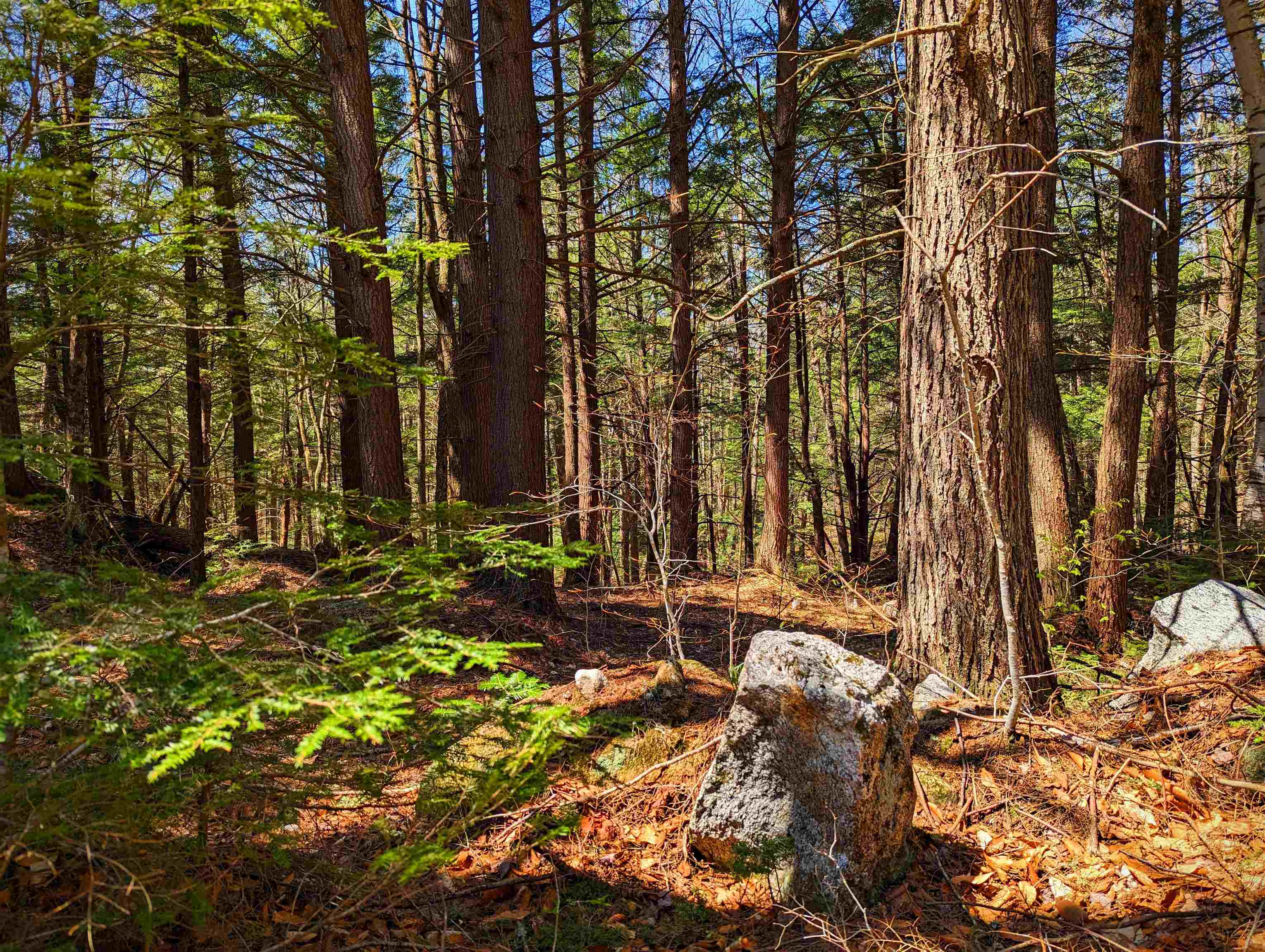 14 Catamount Road Grantham, NH 03753 - Photo 8 of 22