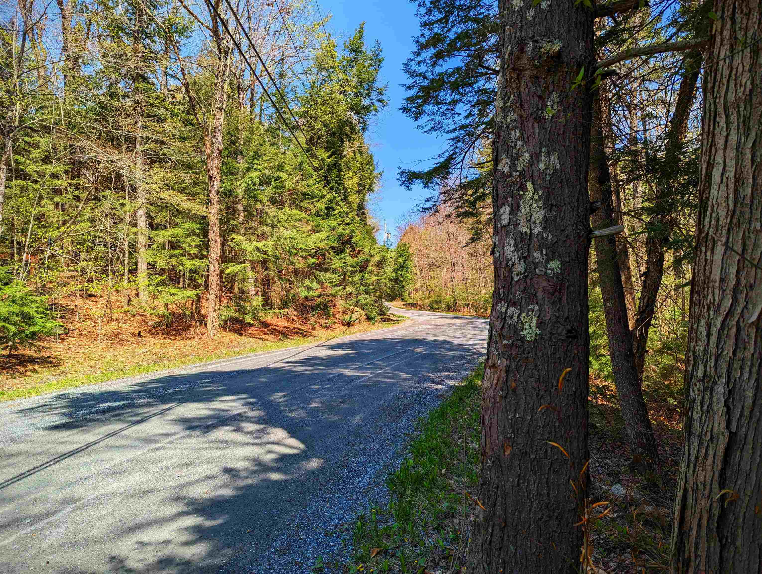14 Catamount Road Grantham, NH 03753 - Photo 9 of 22