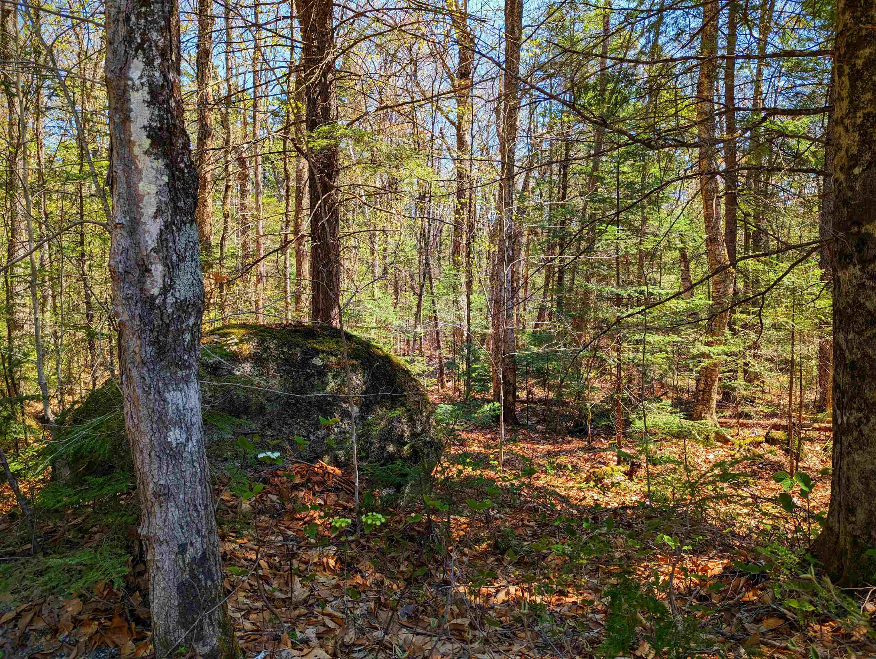 14 Catamount Road Grantham, NH 03753 - Photo 10 of 22