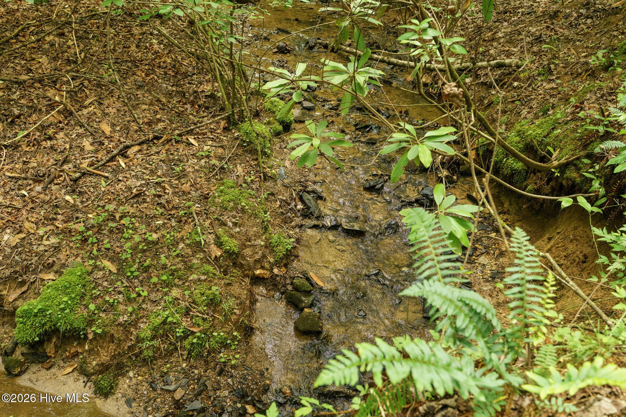 Lot 9 Holly Ridge Lane Murphy, NC 28906 - Photo 1 of 6 Creek on land