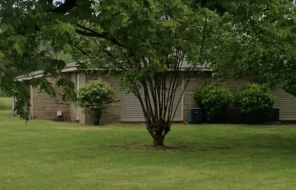 a view of a backyard with a garden and entertaining space