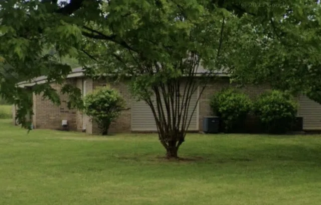 a view of a backyard with a garden and entertaining space