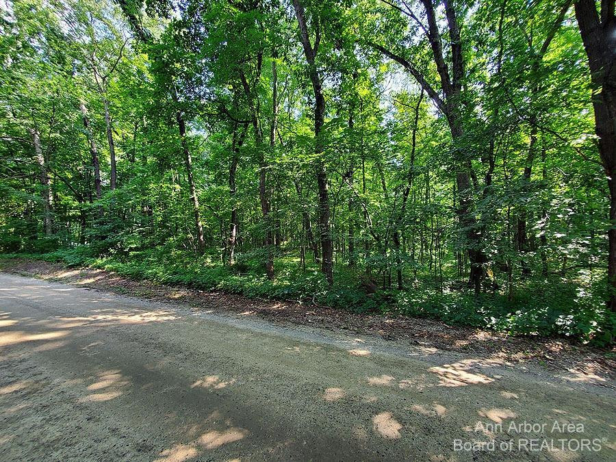 0 Joslin Lake Road Gregory, MI 48118 - Photo 1 of 1 Photo 1