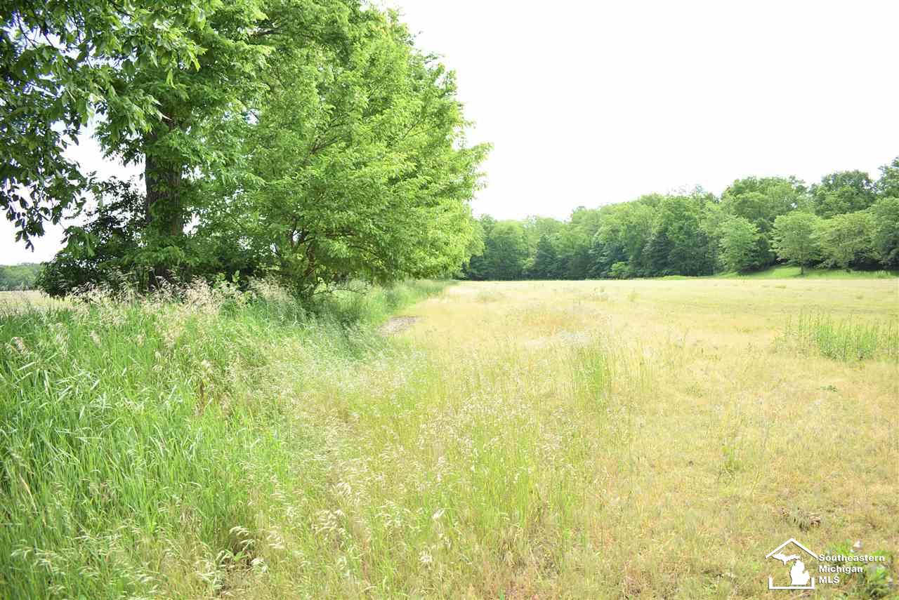 1 Wilcox Road Dundee, MI 48131 - Photo 9 of 9
