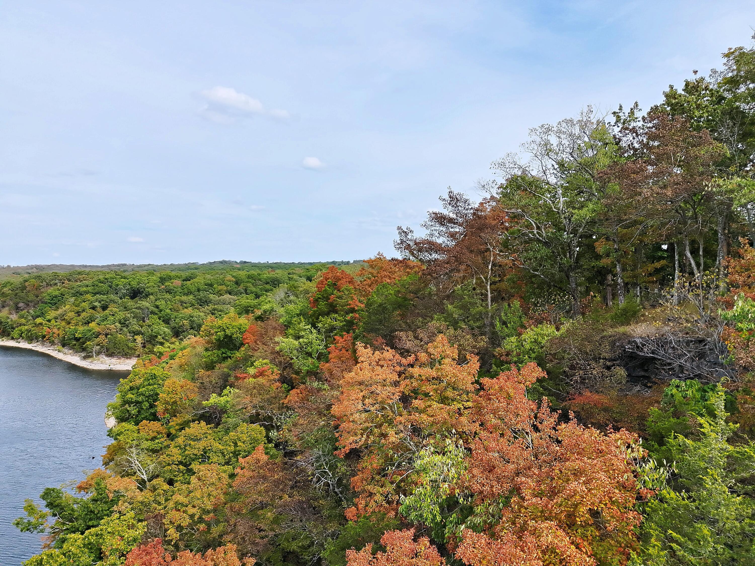0 Royal Point Drive Shell Knob, MO 65747 - Photo 6 of 18 DJI_20260930153905_0032_V_MLS (1)