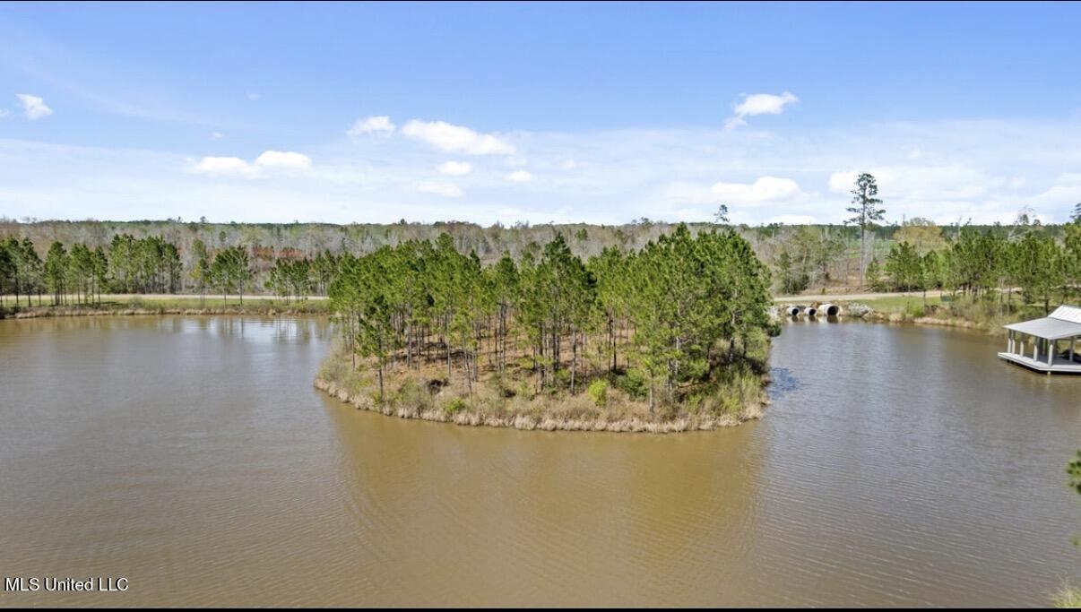 Lot #34 Lure Line Lumberton, MS 39455 - Photo 4 of 12 IMG_1915