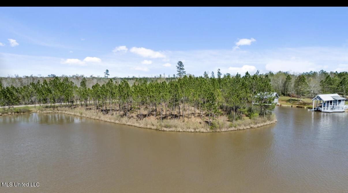 Lot #34 Lure Line Lumberton, MS 39455 - Photo 5 of 12 IMG_1916