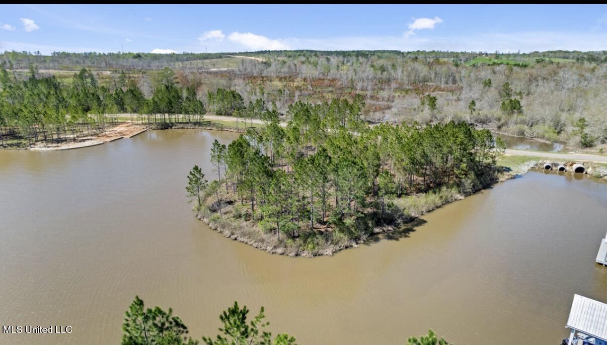 Lot #34 Lure Line Lumberton, MS 39455 - Photo 7 of 12 IMG_1918