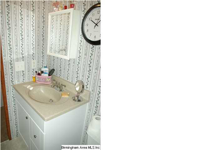 495 Jackson Taylor Road Ashville, AL 35953 - Photo 9 of 28