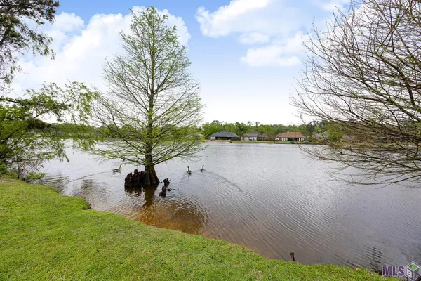 $319,900 | 12485 Timberwood Drive, Walker, LA 70785