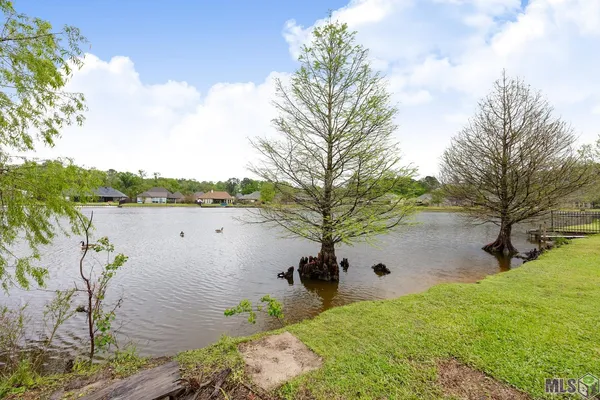 $319,900 | 12485 Timberwood Drive, Walker, LA 70785