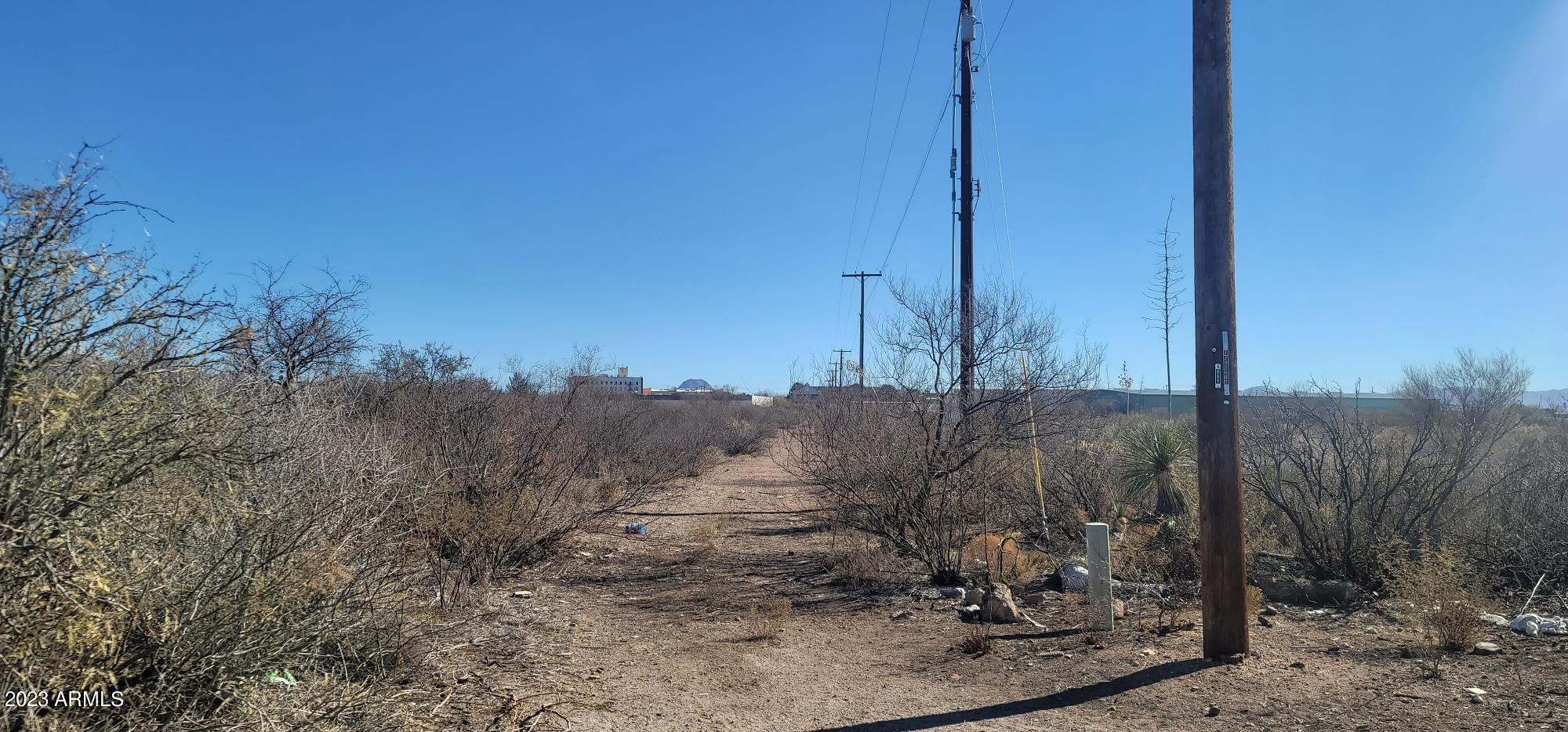 Xxxx 11th Street Douglas, AZ 85607 - Photo 7 of 8 a view of a tree in front of a house