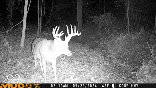 $599,900 | 0 West County Road 350 South, Connersville, IN 47331