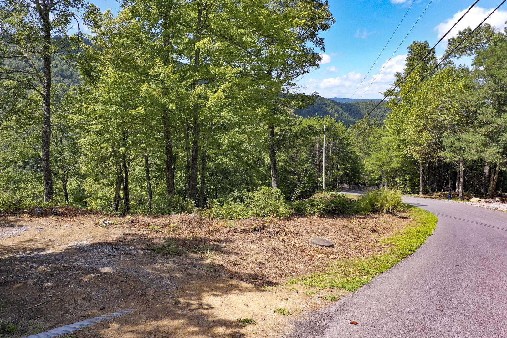 Kelley Ridge Road Townsend, TN 37882 - Photo 1 of 12 DSC_1987