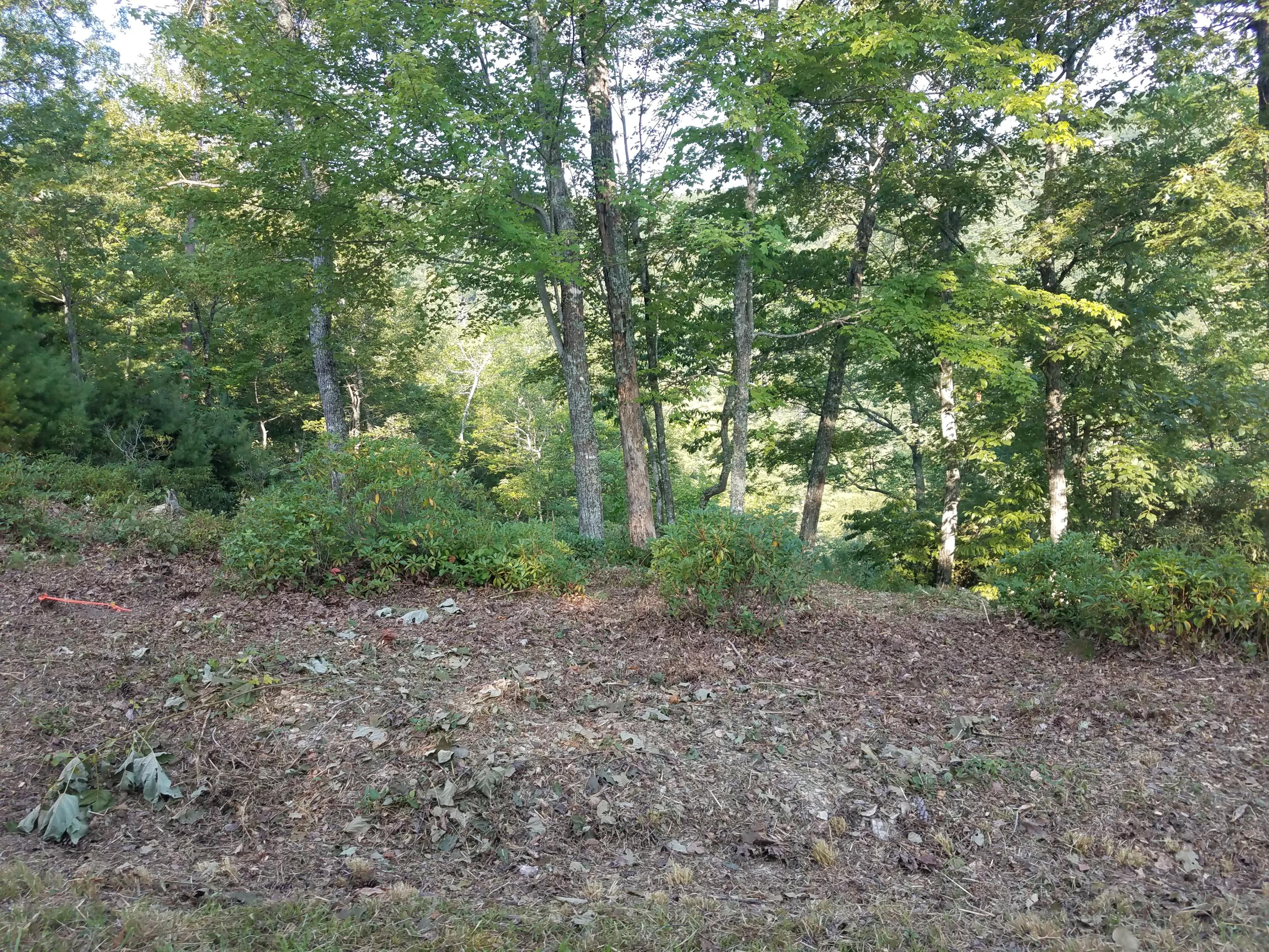 Kelley Ridge Road Townsend, TN 37882 - Photo 2 of 12 20190821_091957