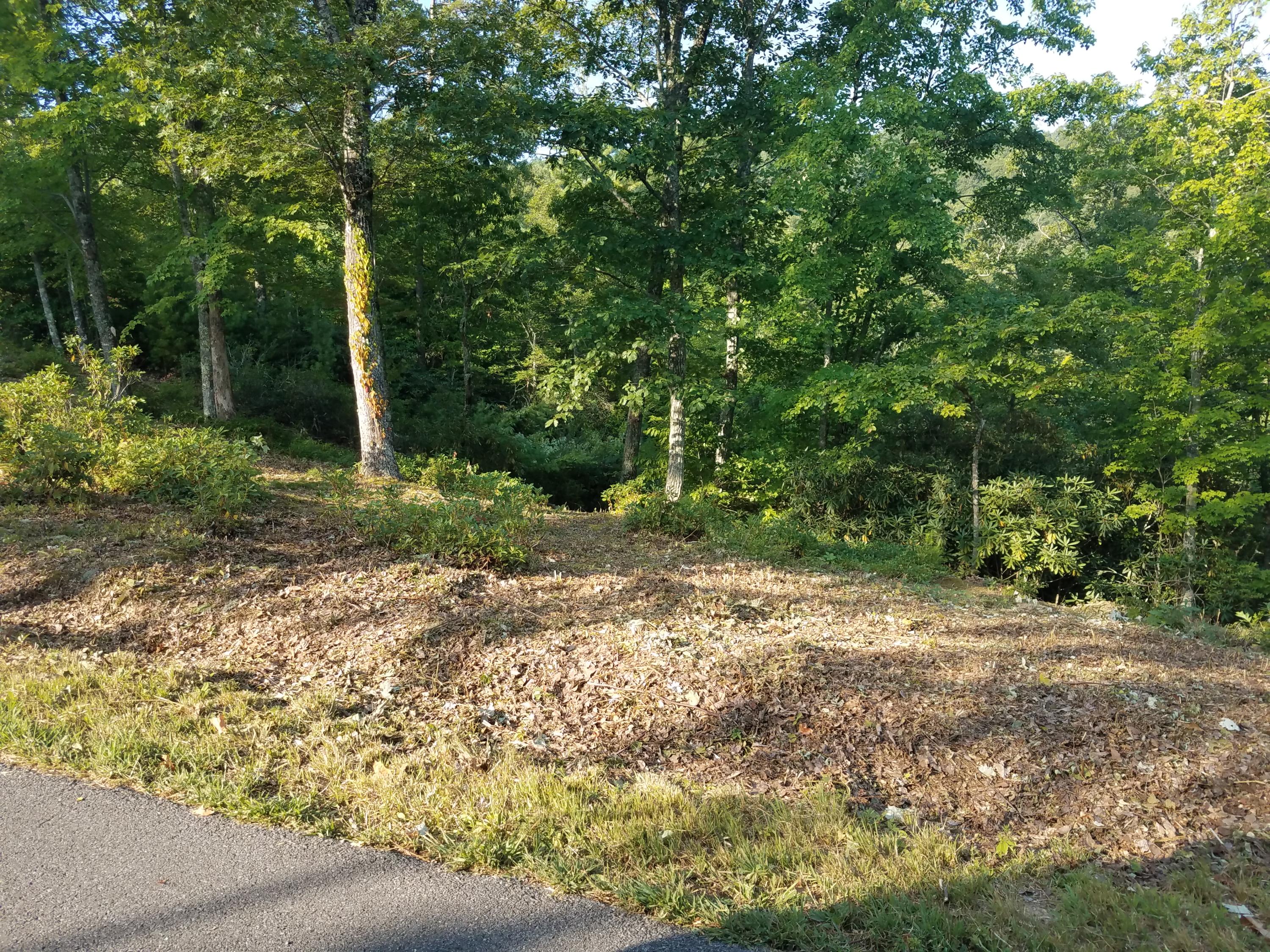 Kelley Ridge Road Townsend, TN 37882 - Photo 3 of 12 20190821_092013