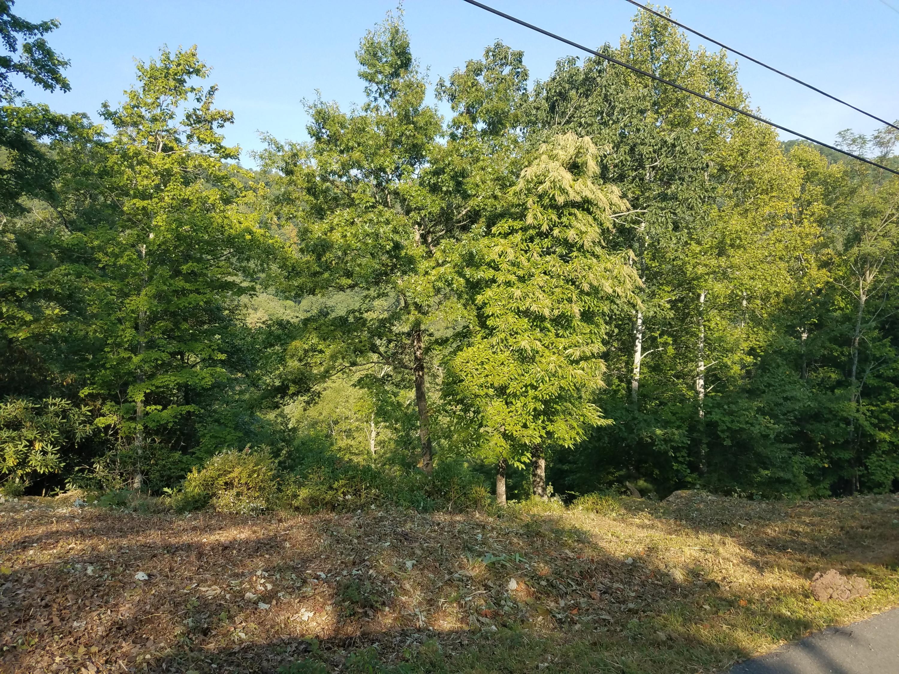 Kelley Ridge Road Townsend, TN 37882 - Photo 4 of 12 20190821_092016