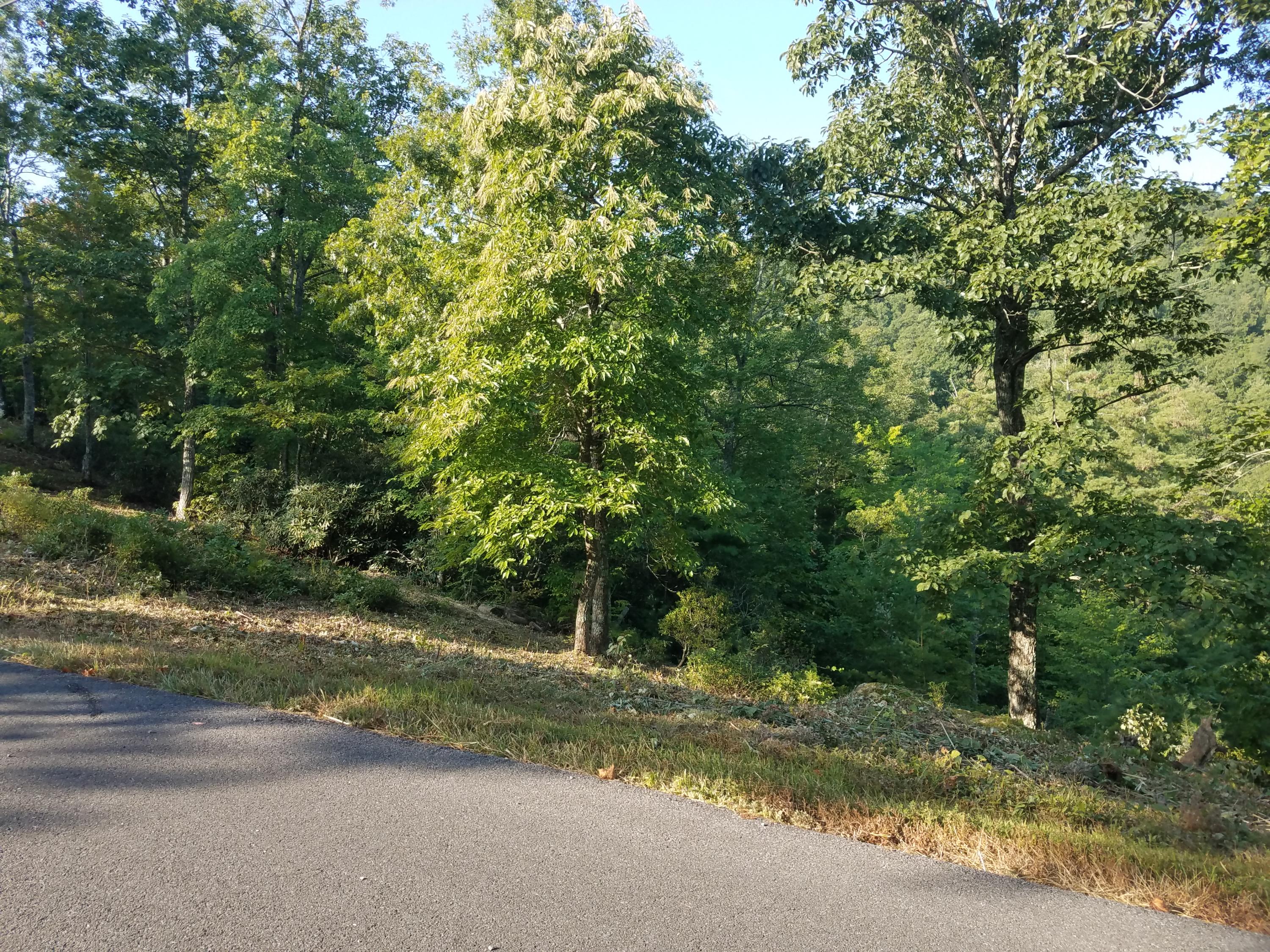 Kelley Ridge Road Townsend, TN 37882 - Photo 5 of 12 20190821_092029