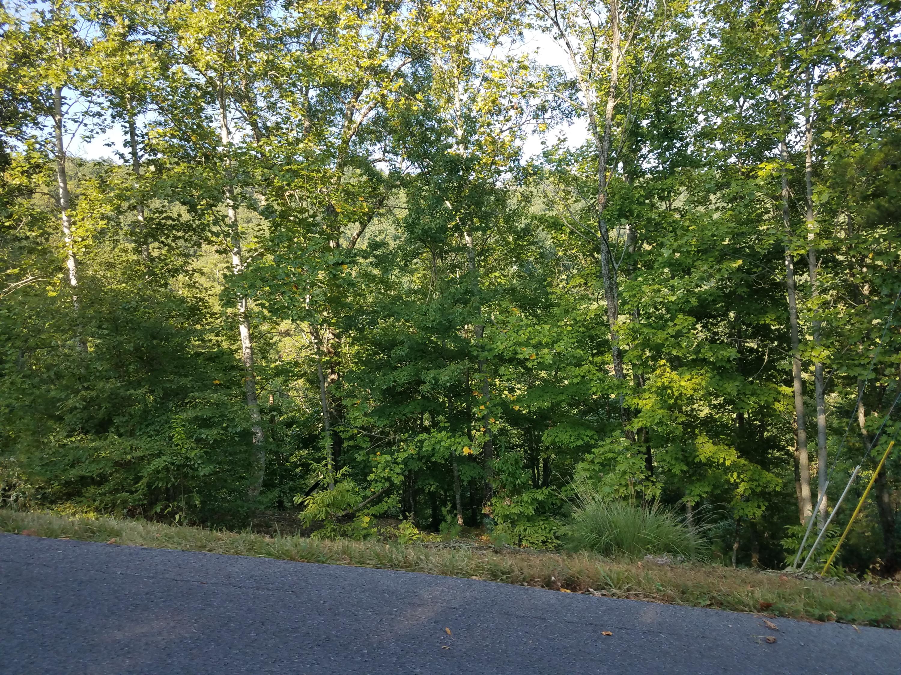 Kelley Ridge Road Townsend, TN 37882 - Photo 6 of 12 20190821_092035