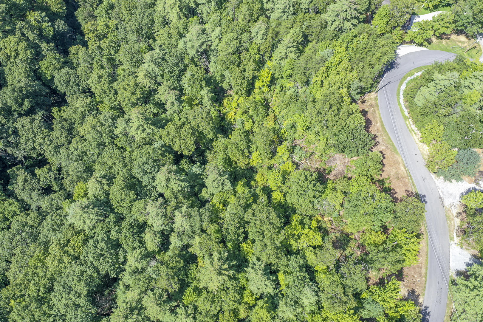 Kelley Ridge Road Townsend, TN 37882 - Photo 7 of 12 DSC_1987-4