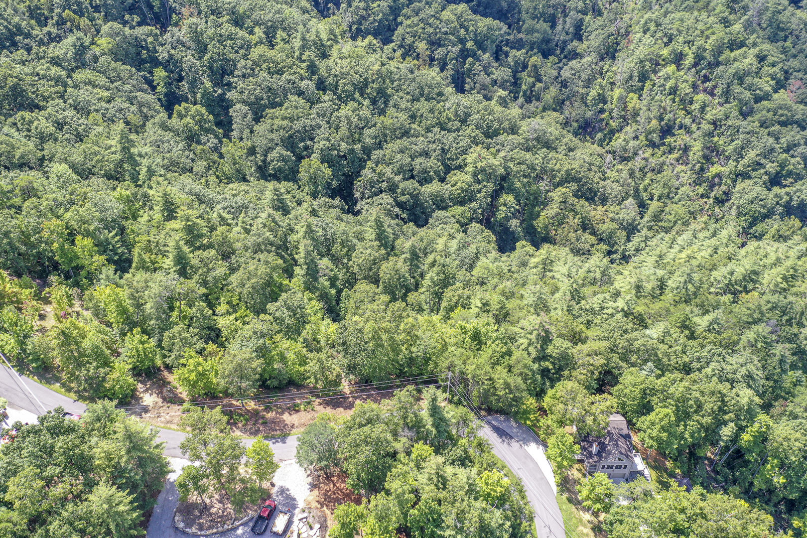 Kelley Ridge Road Townsend, TN 37882 - Photo 8 of 12 DSC_1987-6